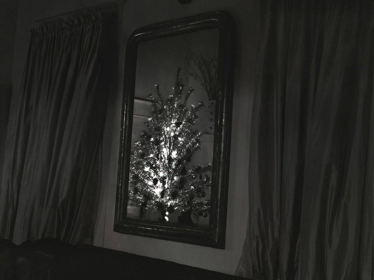 Debbie Fleming Caffery Black and White Photograph - Christmas Tree