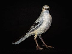 Mockingbird