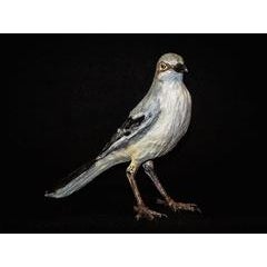 Mockingbird 12