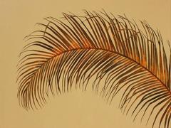 Solone Palm