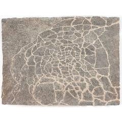 Cracks on Sampsonia (D) 3