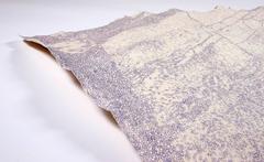 Cracks on Sampsonia (J)