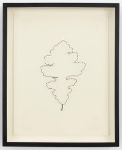 Provocative Stephen (Stephen Gendin)