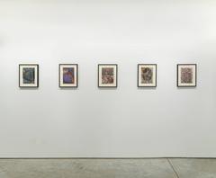 Untitled (Snowflake)