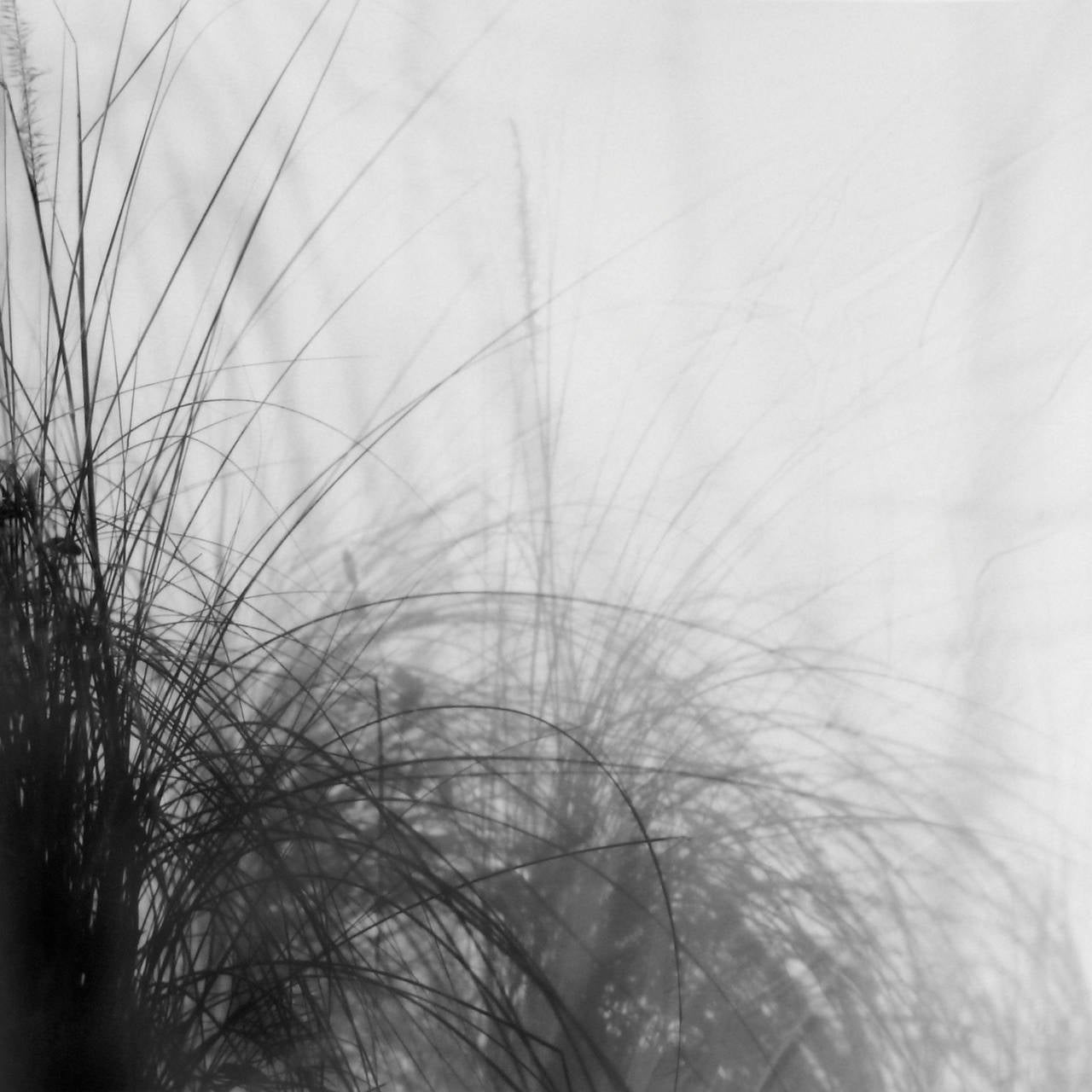 Jan Tyniec Black and White Photograph - True Grass (362434.1C.11)