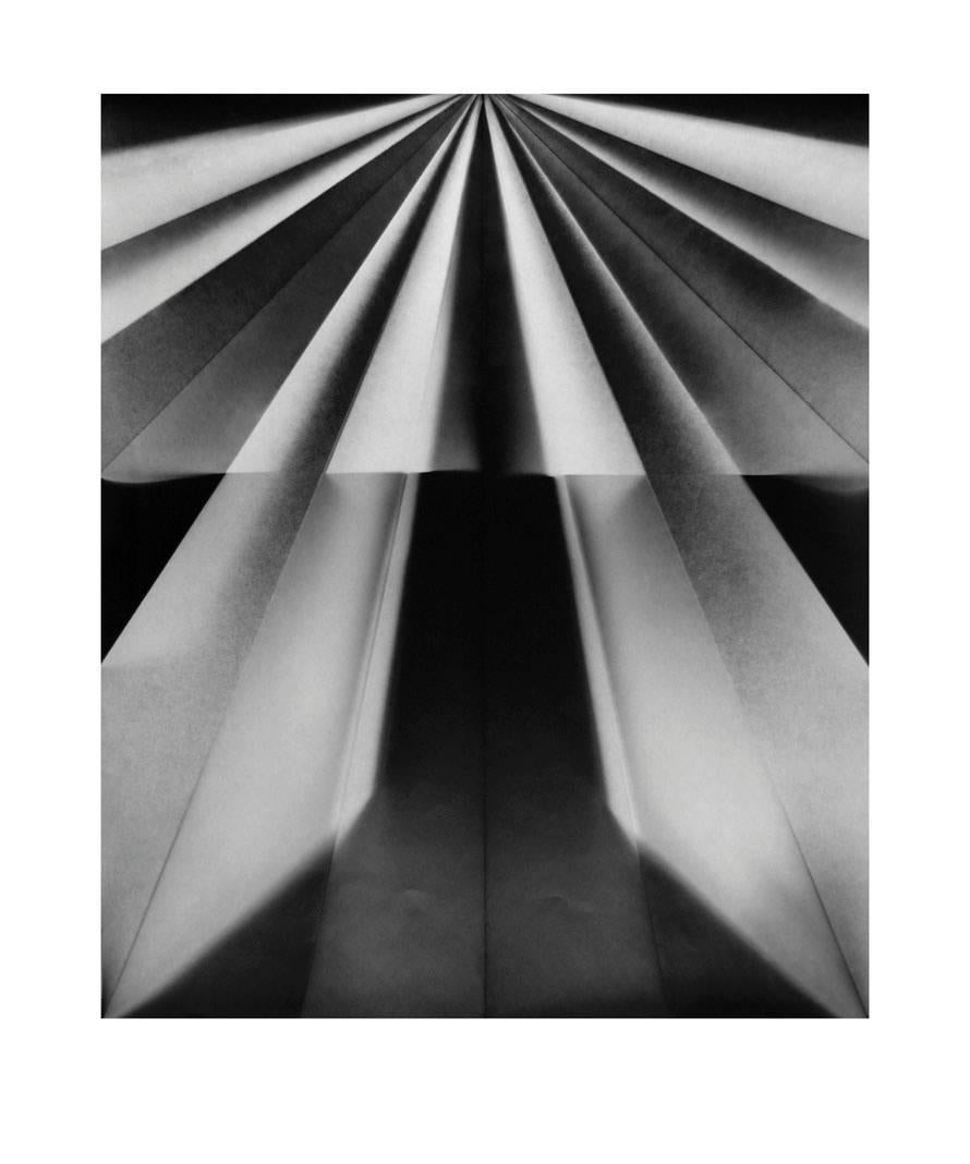Christine Dalenta Abstract Photograph - Egret Ascent 3