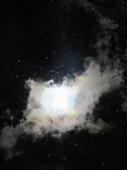 Eternal Return (Promise)