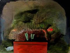 Used Potted Plant