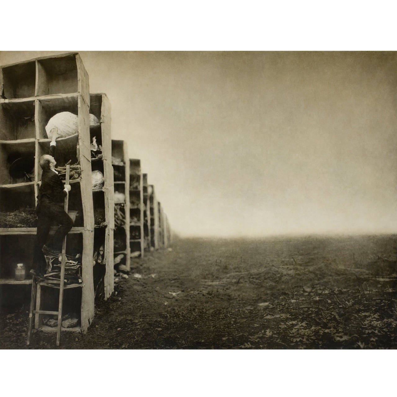 Robert and Shana ParkeHarrison Figurative Photograph - The Collectors Choice