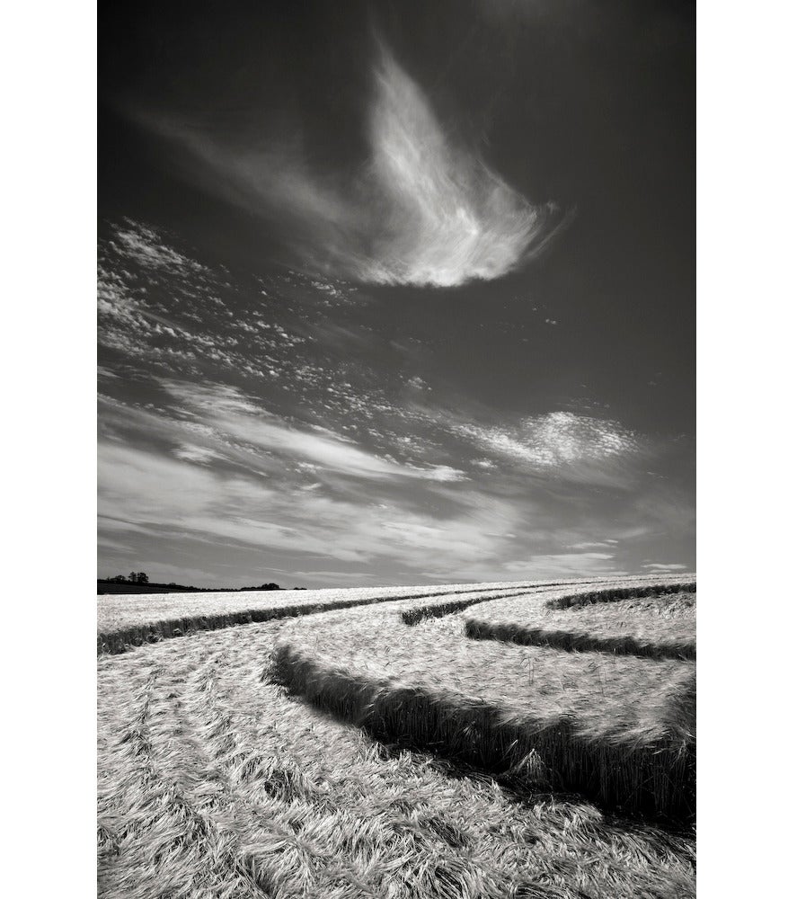 Cara Weston Landscape Photograph - Crop Circle, England