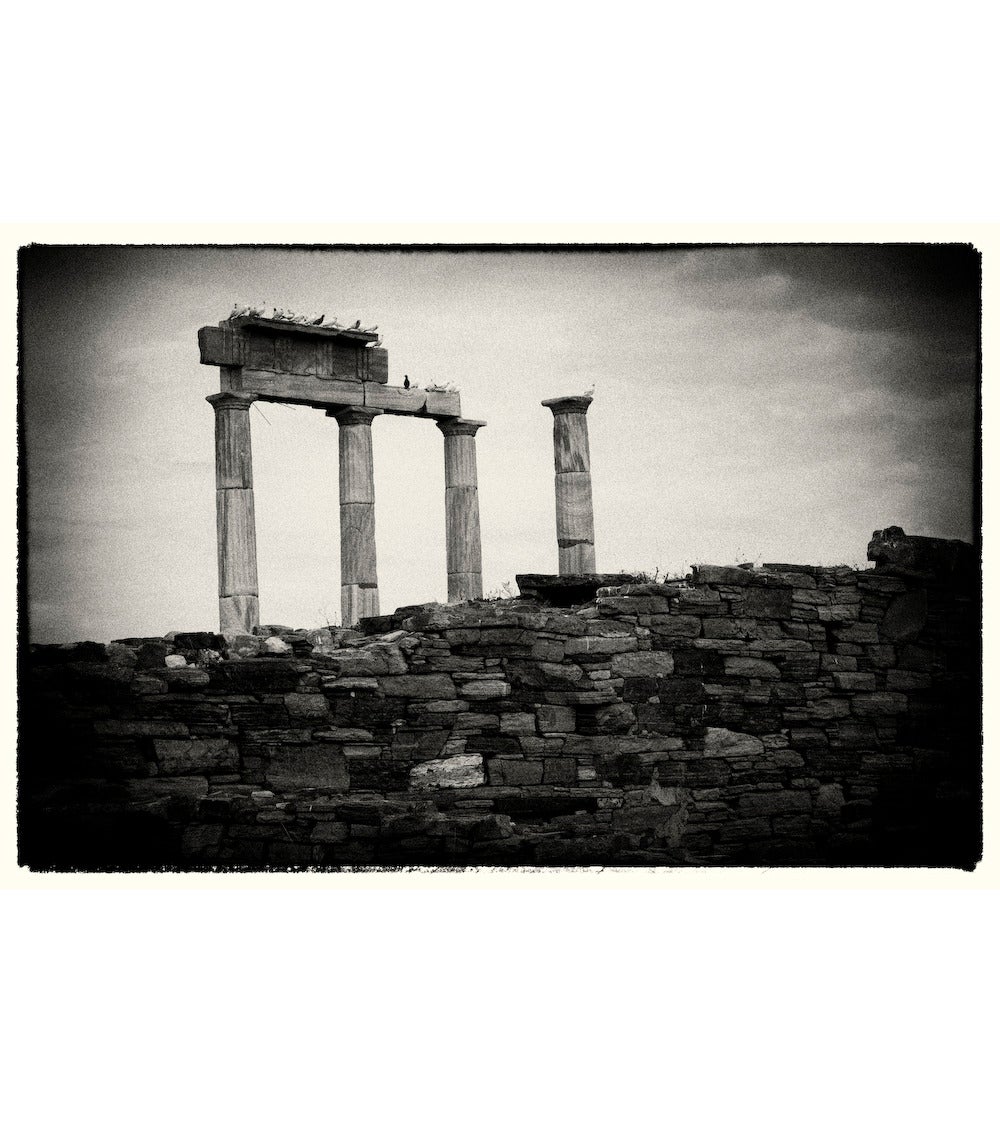 Cara Weston Black and White Photograph - Delos, Greece, Pillars and Birds