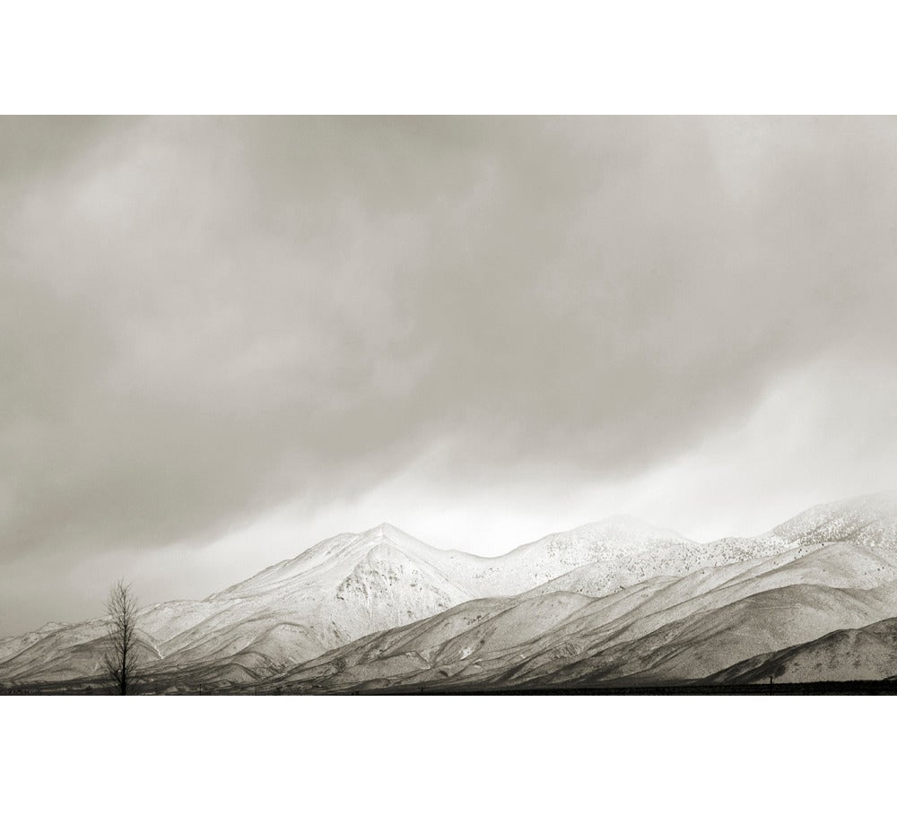 Cara Weston Landscape Photograph - Lone Tree and First Snow, California