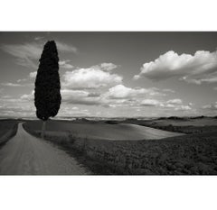 Lone Tree, Italy