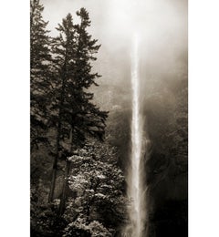 Trees and Waterfall, Oregon