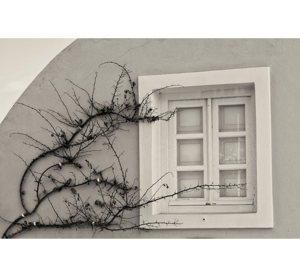 Cara Weston Black and White Photograph - Window and Vine, Santorini