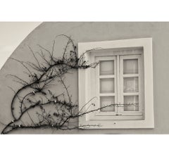 Window and Vine, Santorini