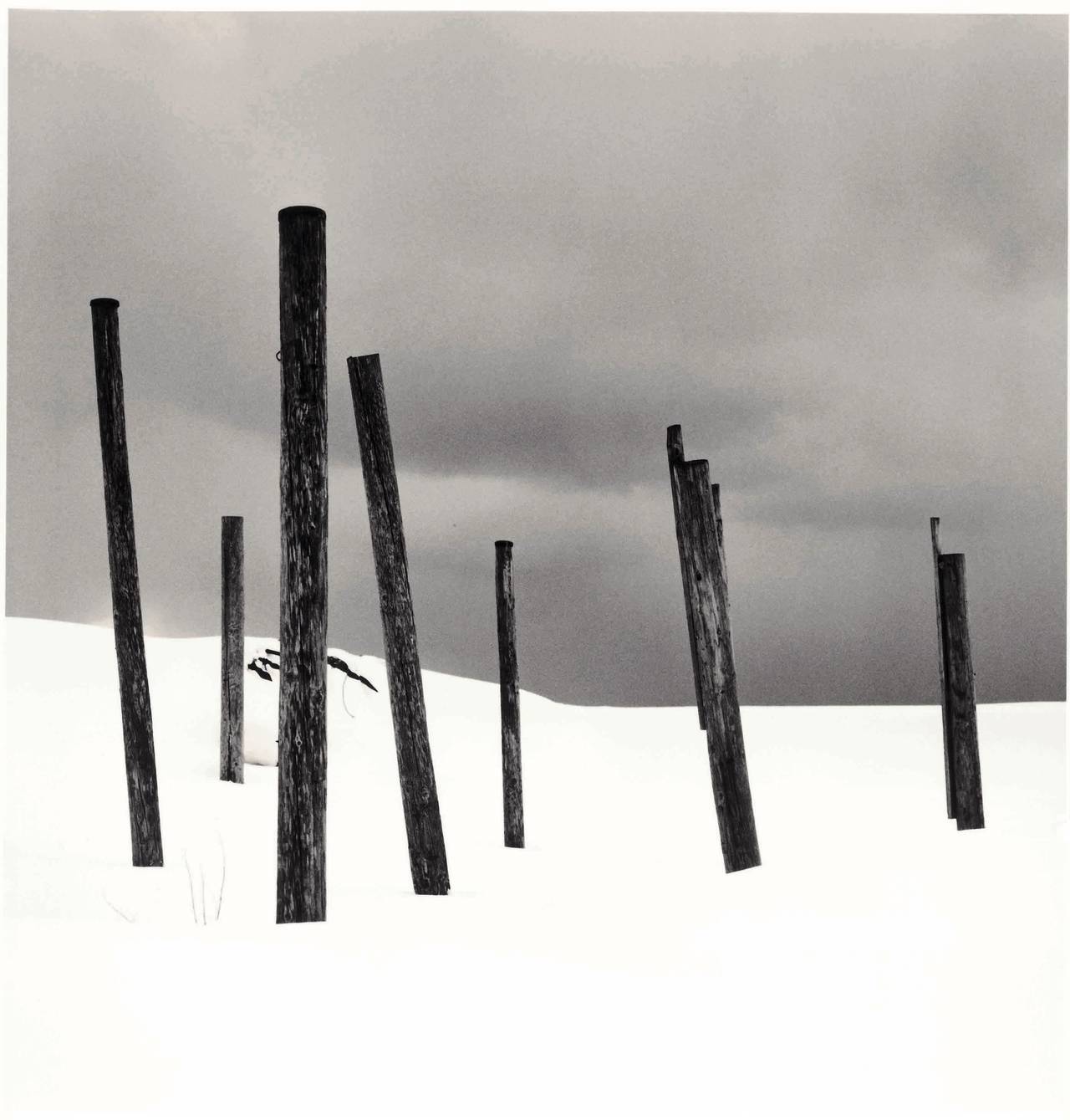 Michael Kenna Black and White Photograph - Seven Posts in Snow, Rumoi, Hokkaido, Japan, 2004