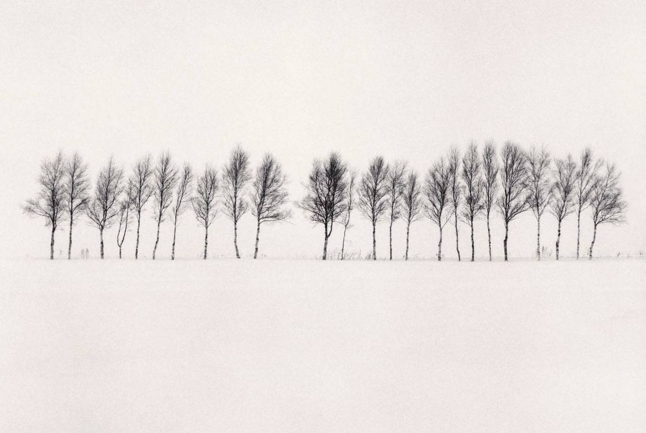 Michael Kenna Black and White Photograph – Vierundzwanzig Bäume, Abashiri, Hokkaido, Japan, 2005