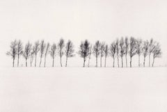 Vierundzwanzig Bäume, Abashiri, Hokkaido, Japan, 2005