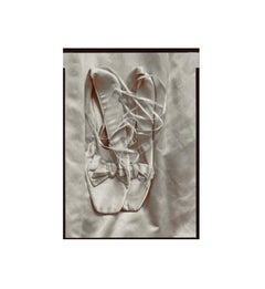Vintage Miss Appleton's Shoes