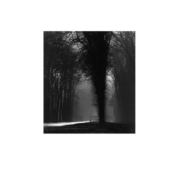 Michael Kenna Black and White Photograph - Silver Road, Versailles, France