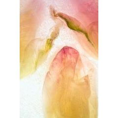 Color Ice Form 166 10