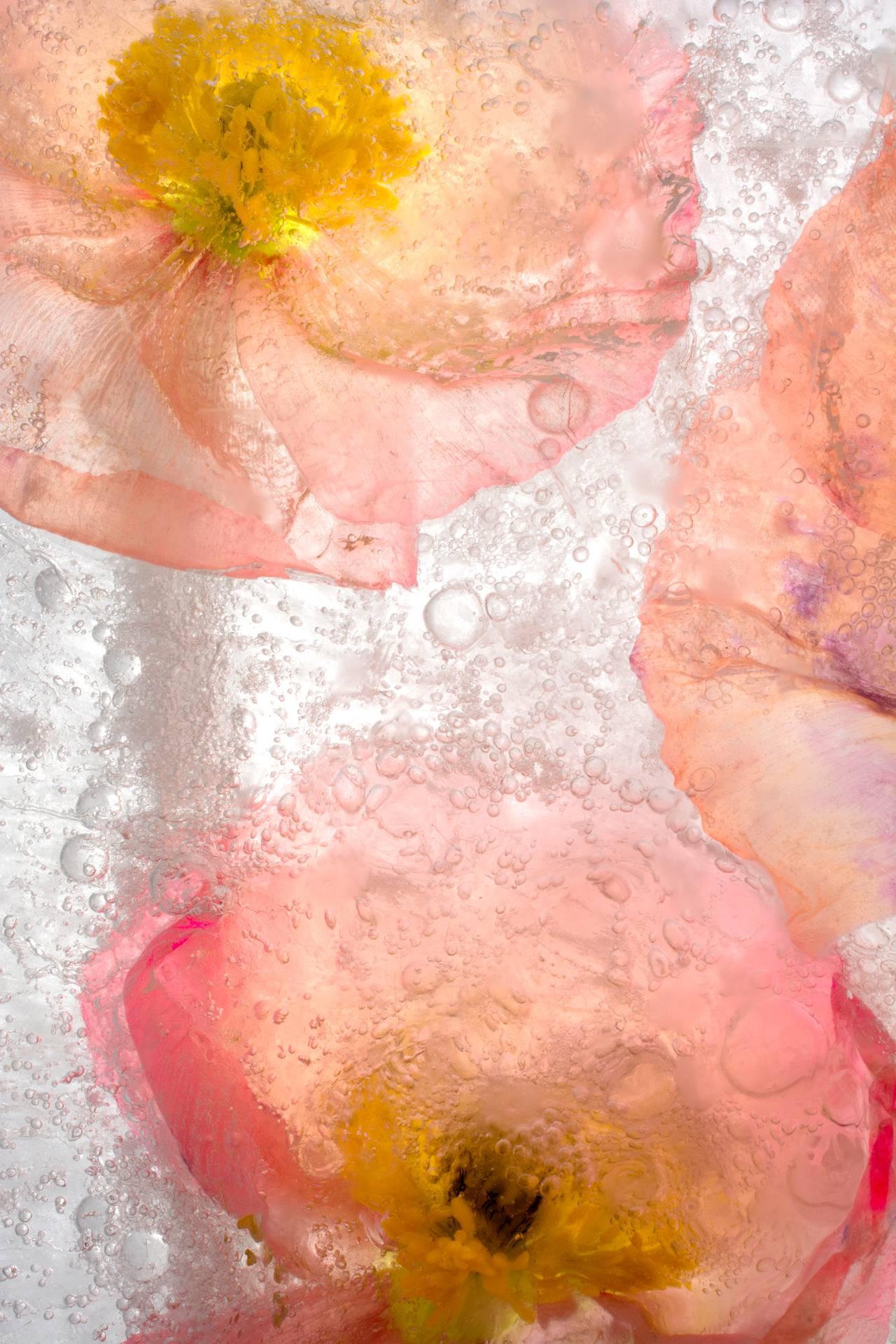 Ryuijie Color Photograph – farbige Eisform 168