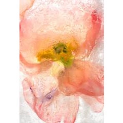 Color Ice Form 170 4