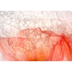 Color Ice Form 172 7