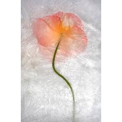 Color Ice Form 173 8