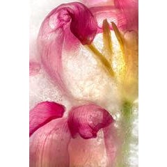 Color Ice Form 175 5