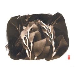 Kanchi "K-19" Kelp 6