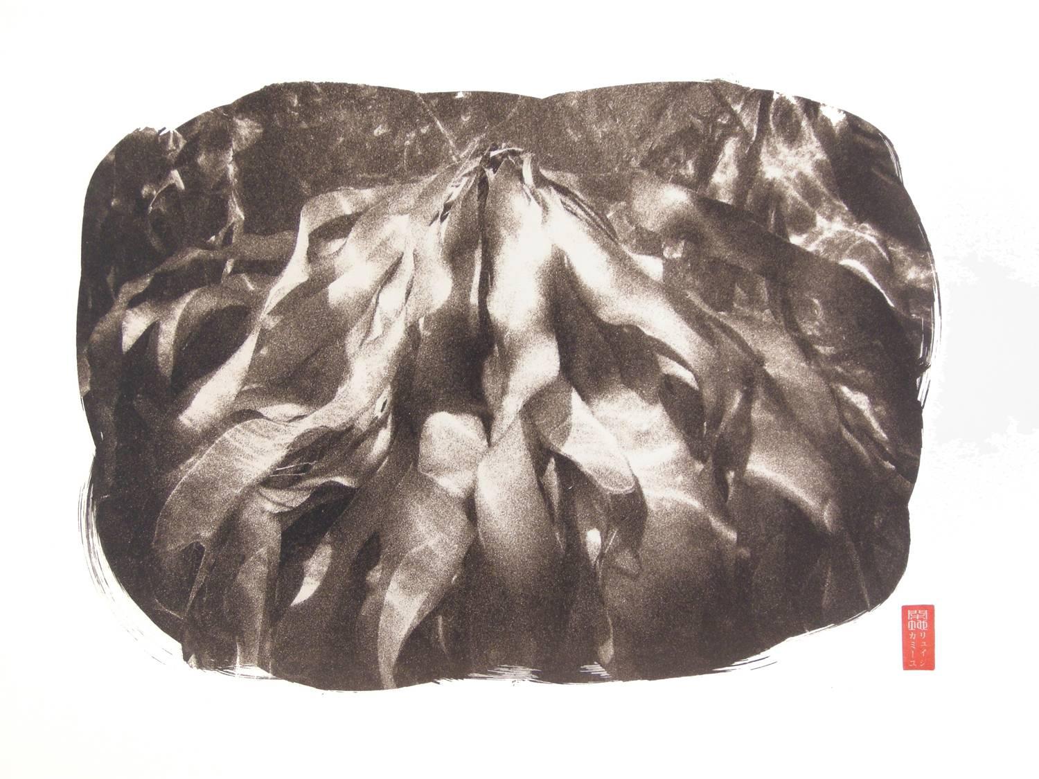 Black and White Photograph de Ryuijie - Abstracción de algas Kanchi "K-38
