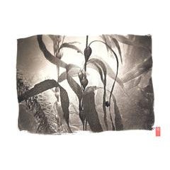 K81 ~ Kelp and Snail 12
