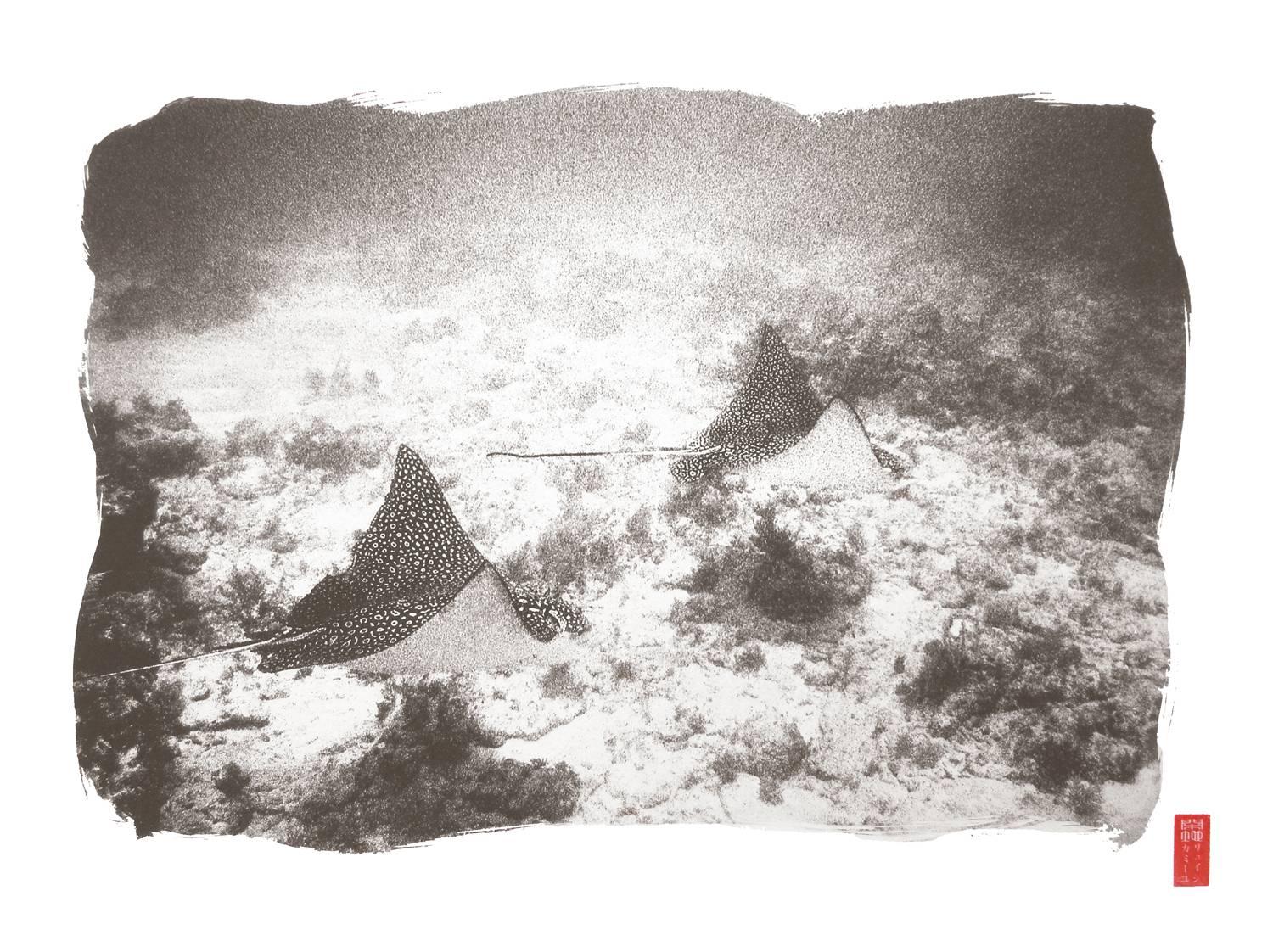 Ryuijie Black and White Photograph - K108 ~ Eagle Rays