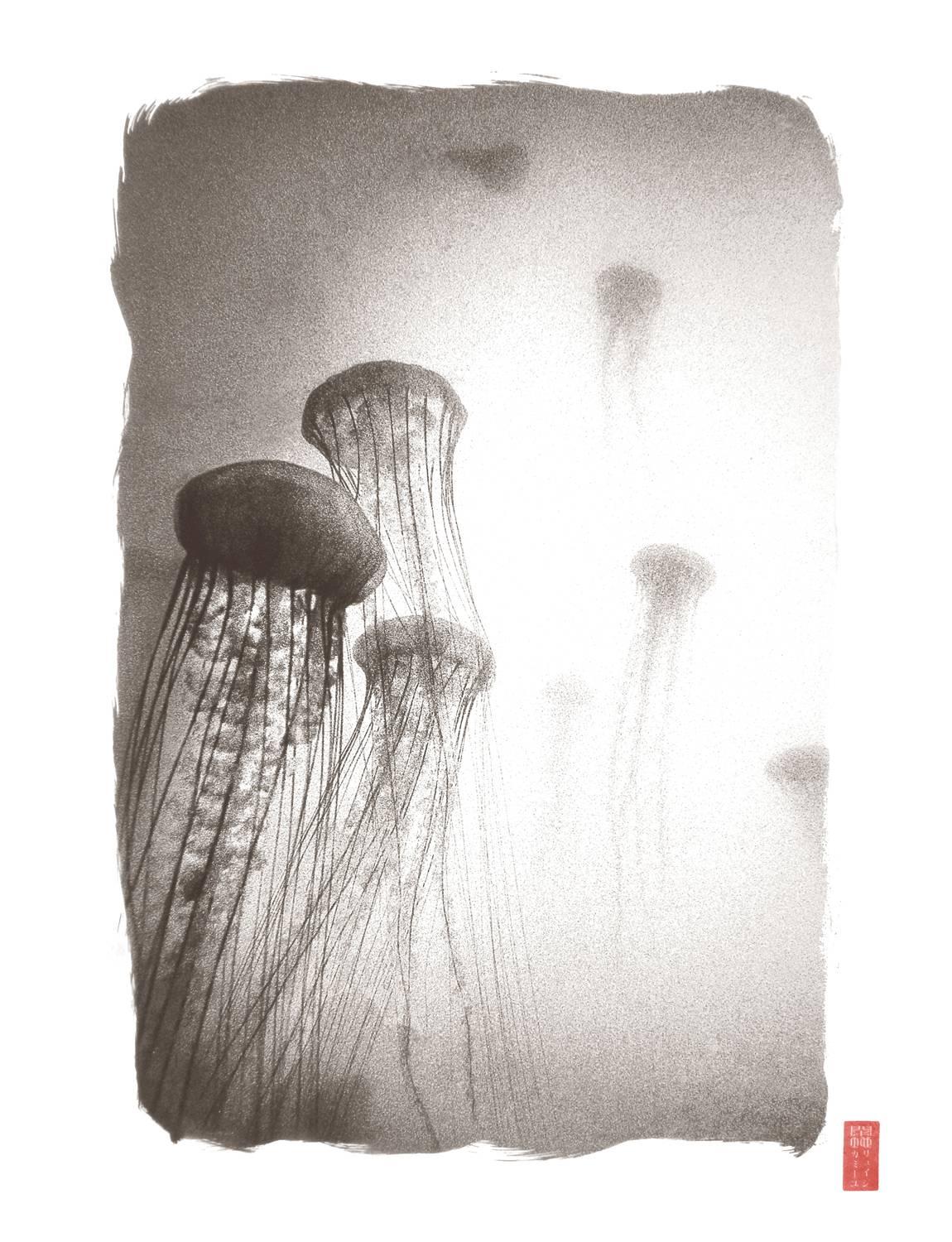 Ryuijie Black and White Photograph - K126 ~ Sea Nettles
