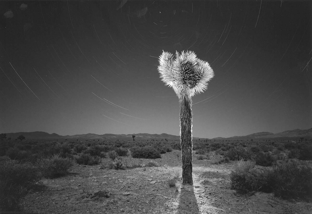 Bob Kolbrener Landscape Photograph - Desert Fantasy, Nevada