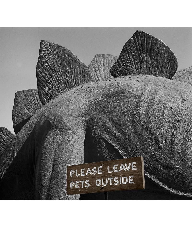 Bob Kolbrener Still-Life Photograph - Please Leave Pets Outside