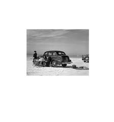 "Get the Party Started" ~ Winter Visitors from Nearby Trailer Park, Florida 11