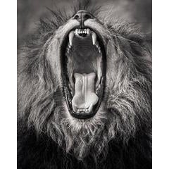 Devour 8