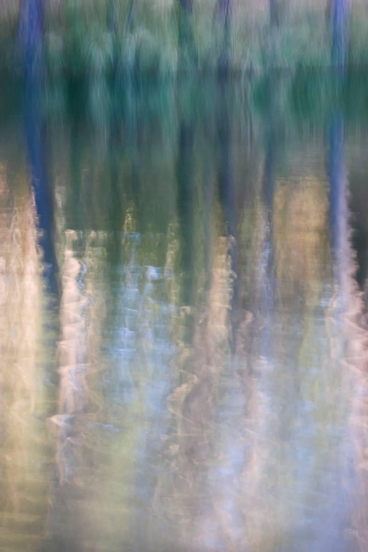 William Neill Color Photograph - Forest Reflections, Mazanita Lake, California