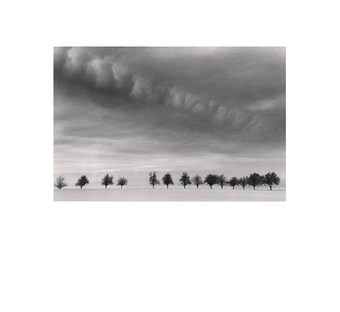 Michael Kenna Black and White Photograph - Fourteen Trees, Marbach, Austria