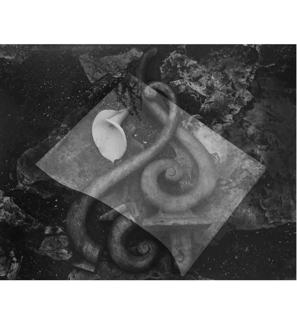 Edward Weston Black and White Photograph - Glass & Lily