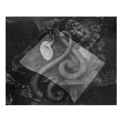 Glass & Lily 10