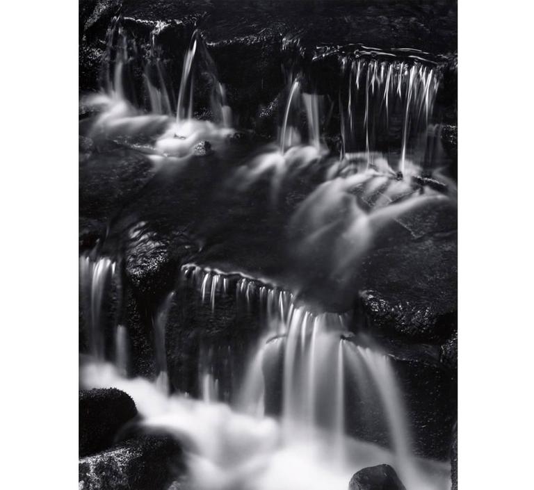 Ansel Adams Black and White Photograph - Fern Spring, Dusk, Yosemite Valley