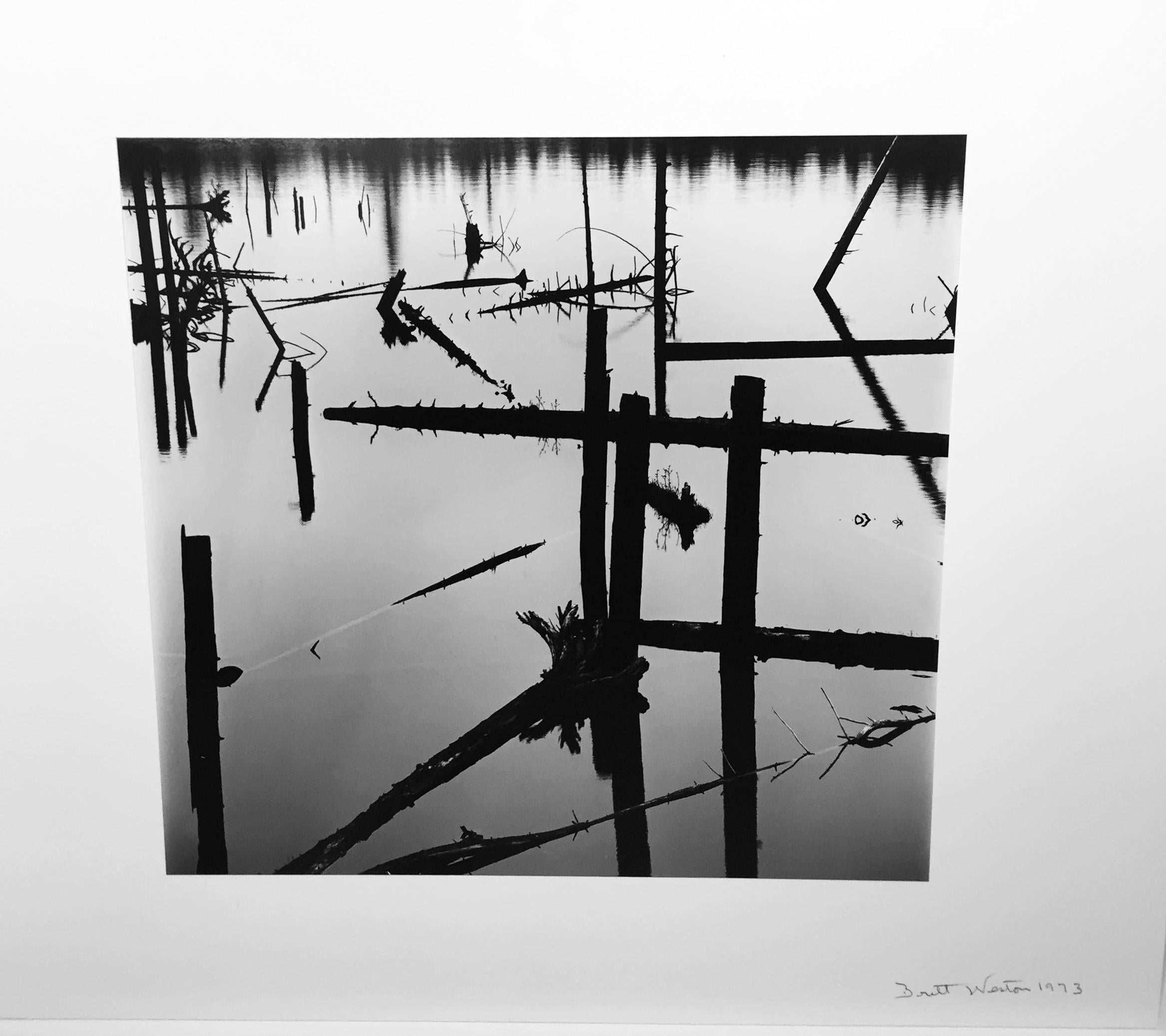 Brett Weston Black and White Photograph - Log Pond, 1973