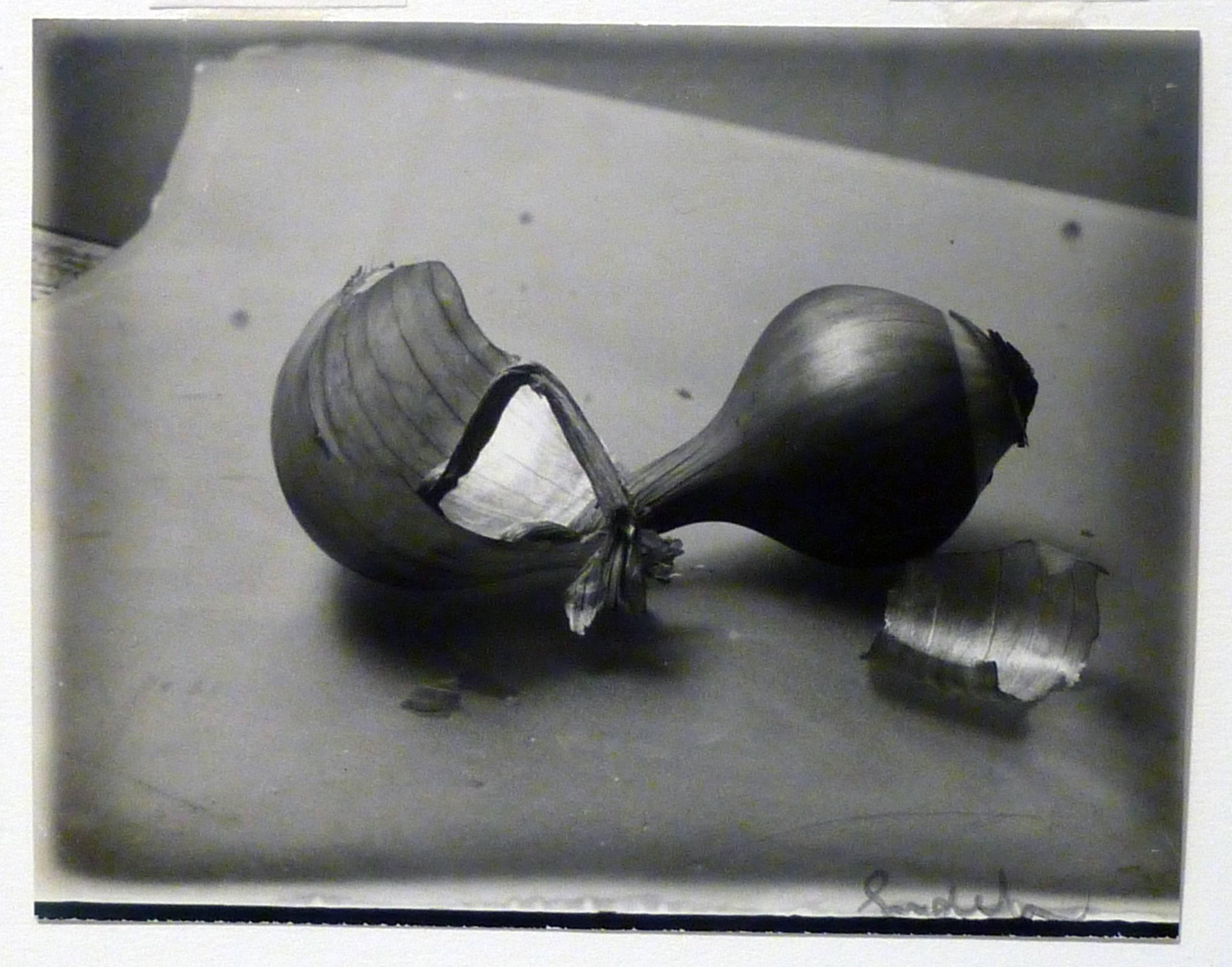 Josef Sudek Black and White Photograph - Onions