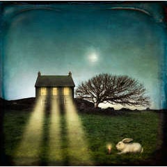 Night watch. 2014 11