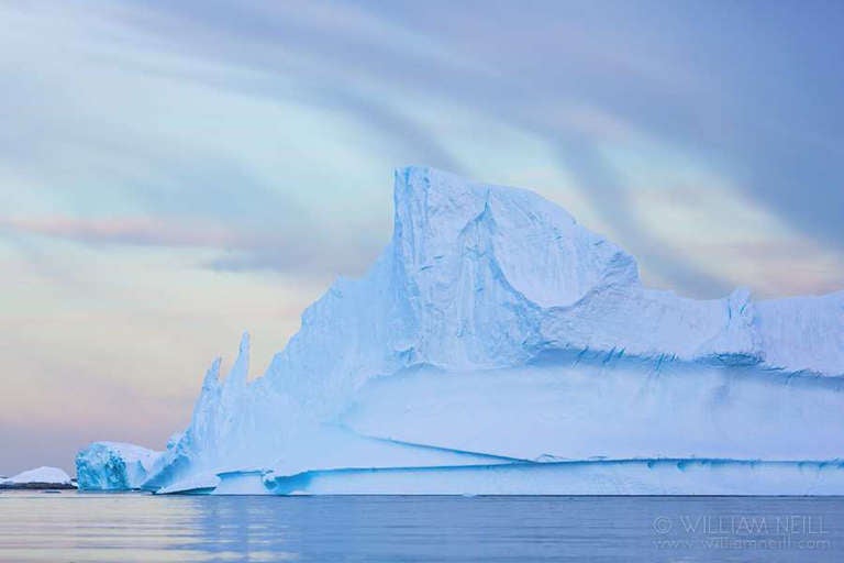 William Neill Color Photograph - Antarctica, 2014