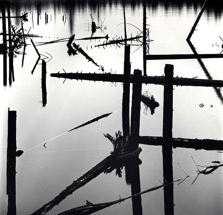 Black and White Photograph Brett Weston - Étang en rondins